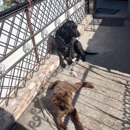 Mehra Cottage Almora Zewnętrze zdjęcie