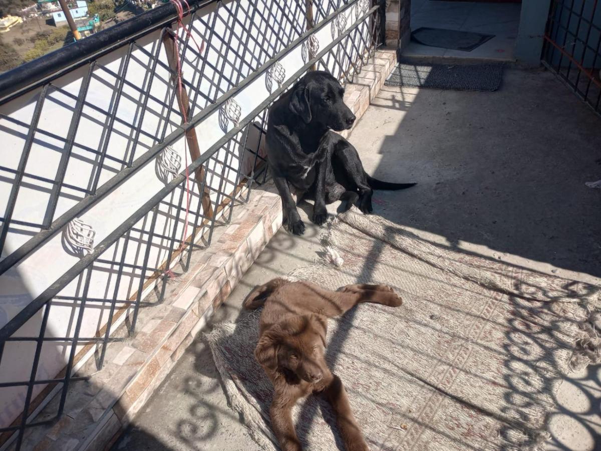Mehra Cottage Almora Zewnętrze zdjęcie
