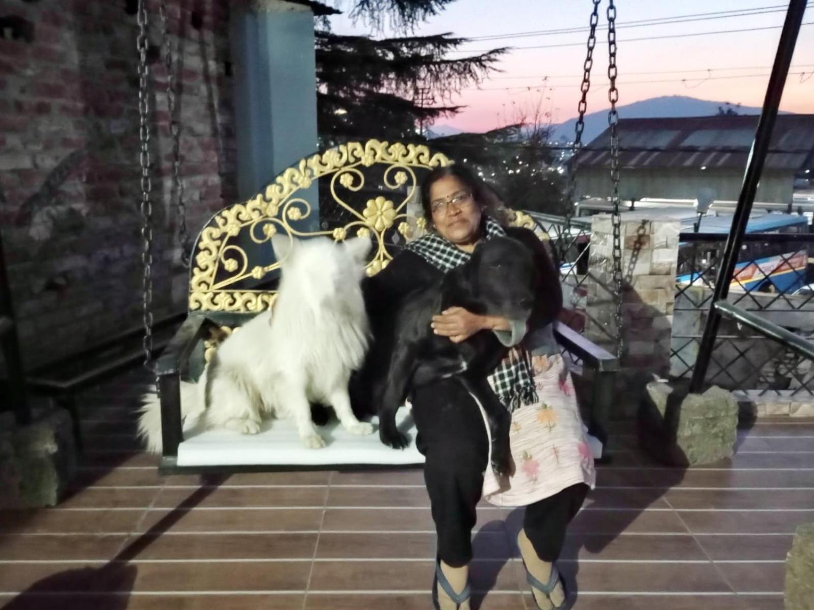 Mehra Cottage Almora Pokój zdjęcie
